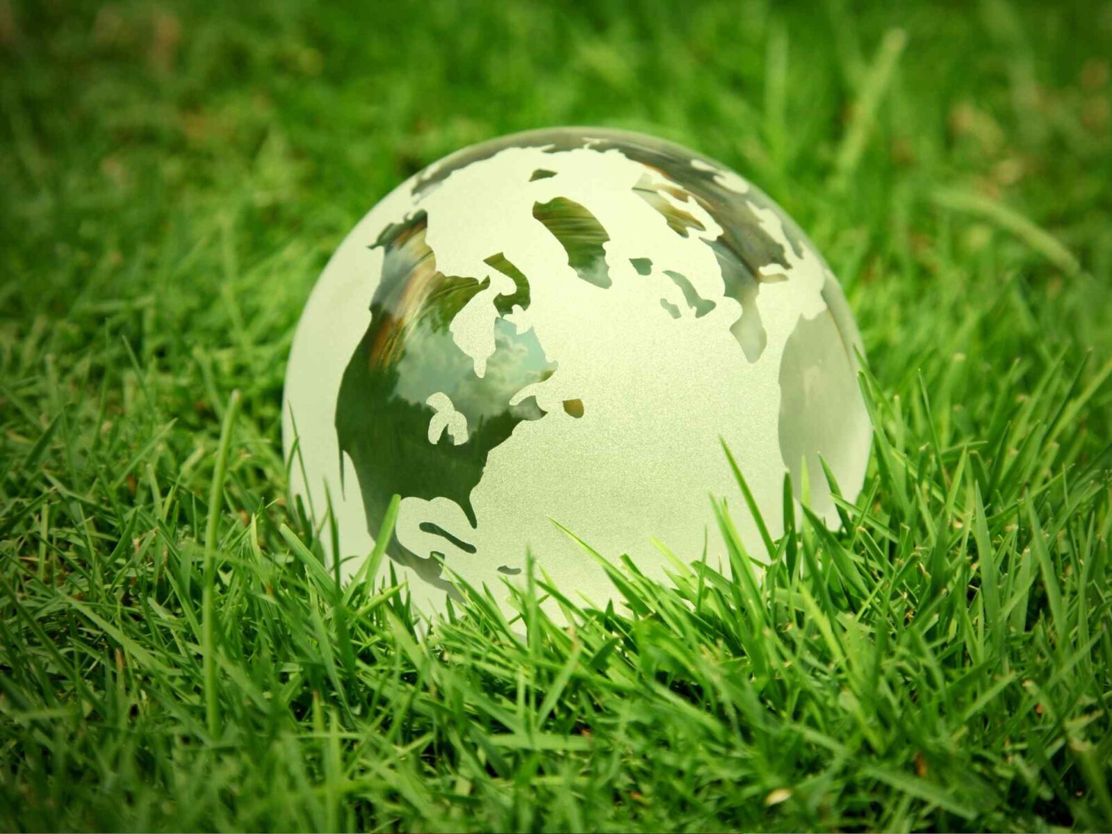 going_green