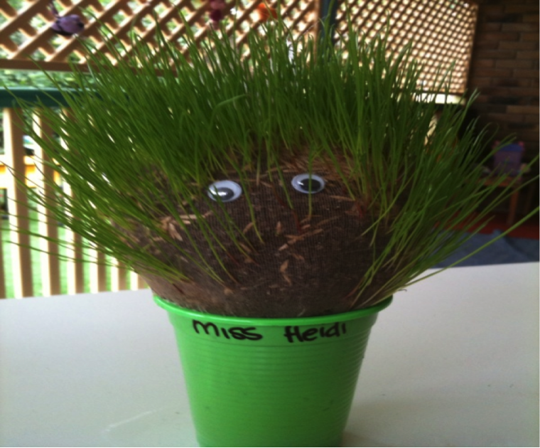 Grasshead