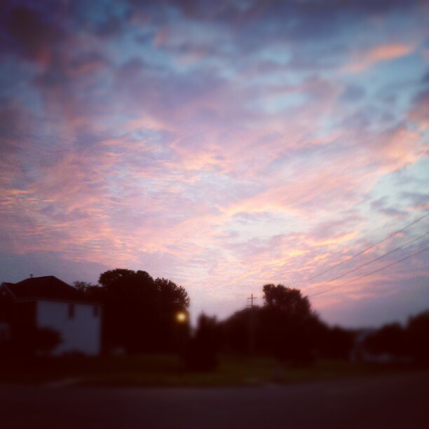 Zany_Smiles1
