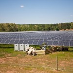 6 - Solar Panels