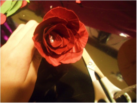 Flower Pic #4