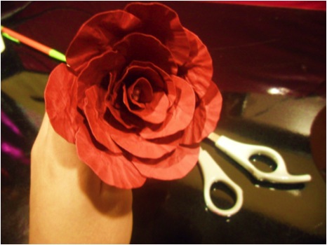 Flower Pic #5