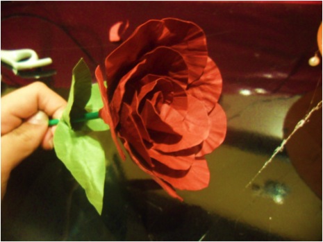 Flower Pic #6
