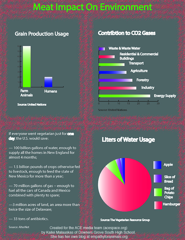 The Climate Impacts of Meat