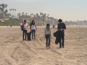 beachcleanup-300x225.jpg