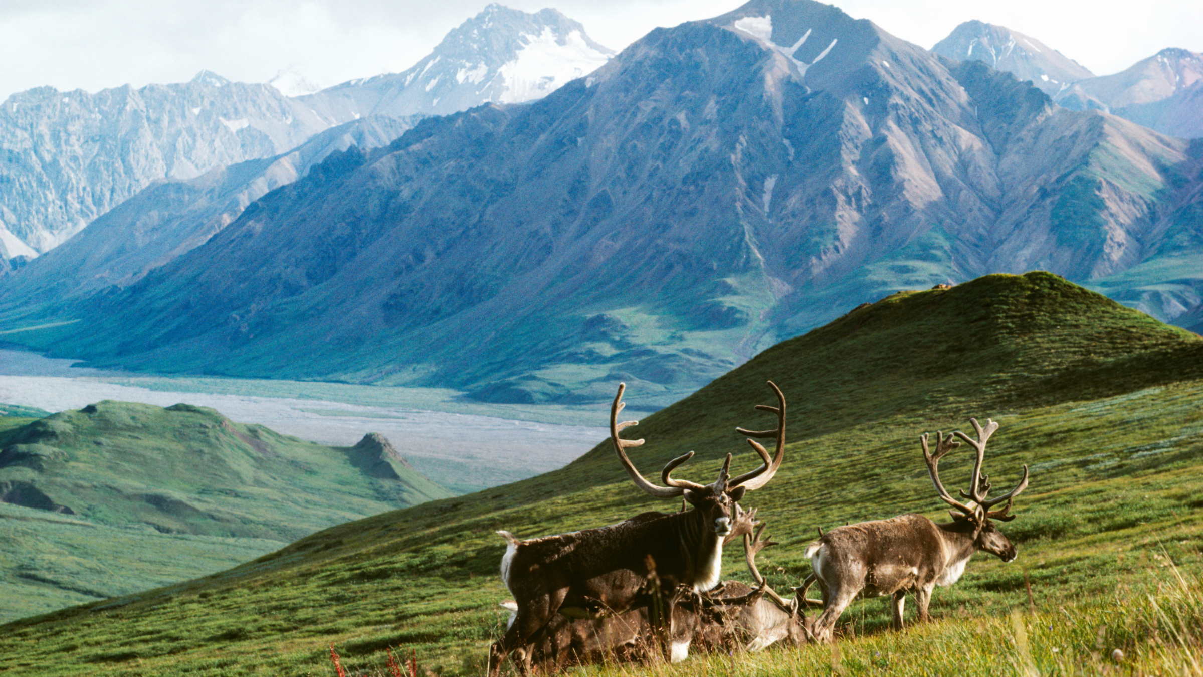 Arctic-National-Wildlife-Refuge