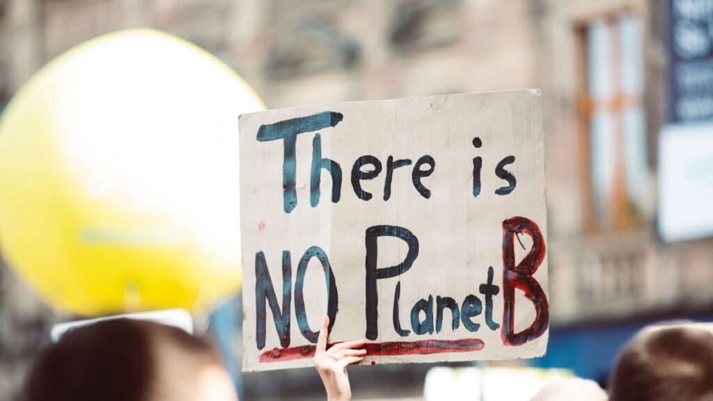 Image of a protester holding up a placard that reads "There is NO Planet B"