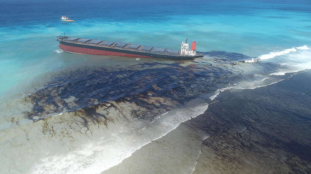 water pollution oil spills effects