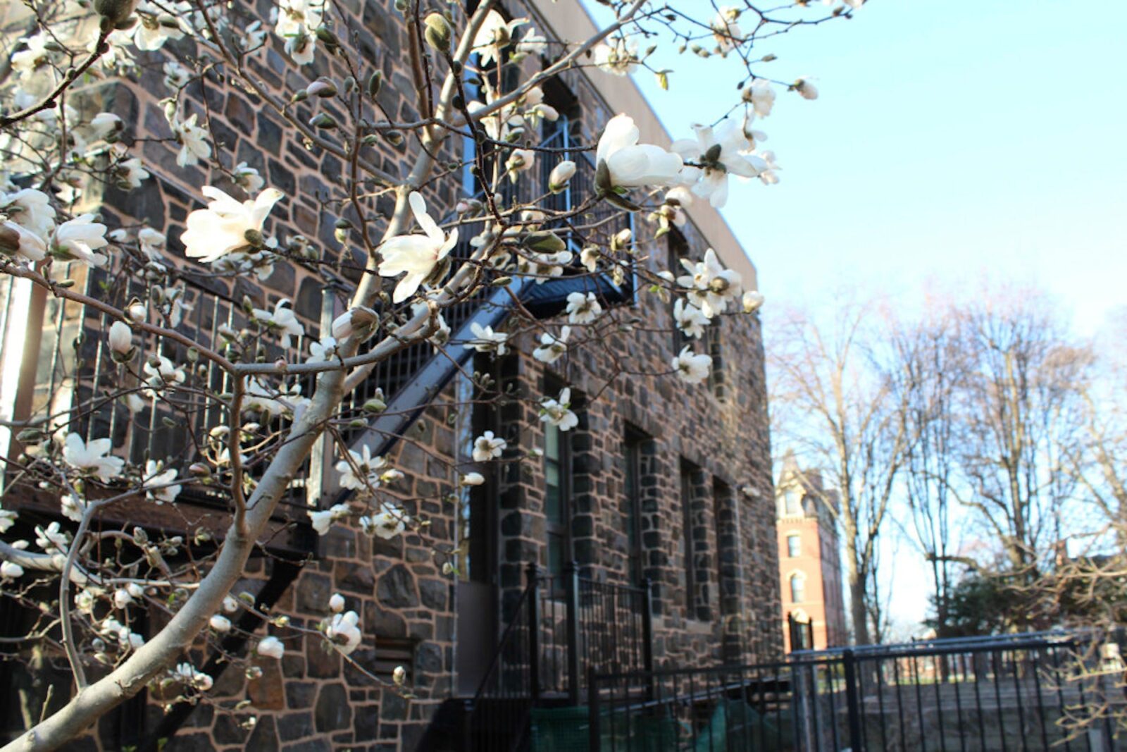TuftsDaily_11Apr22