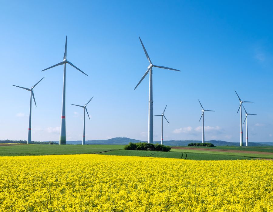 Image of Windmills in the midst of a green meadow